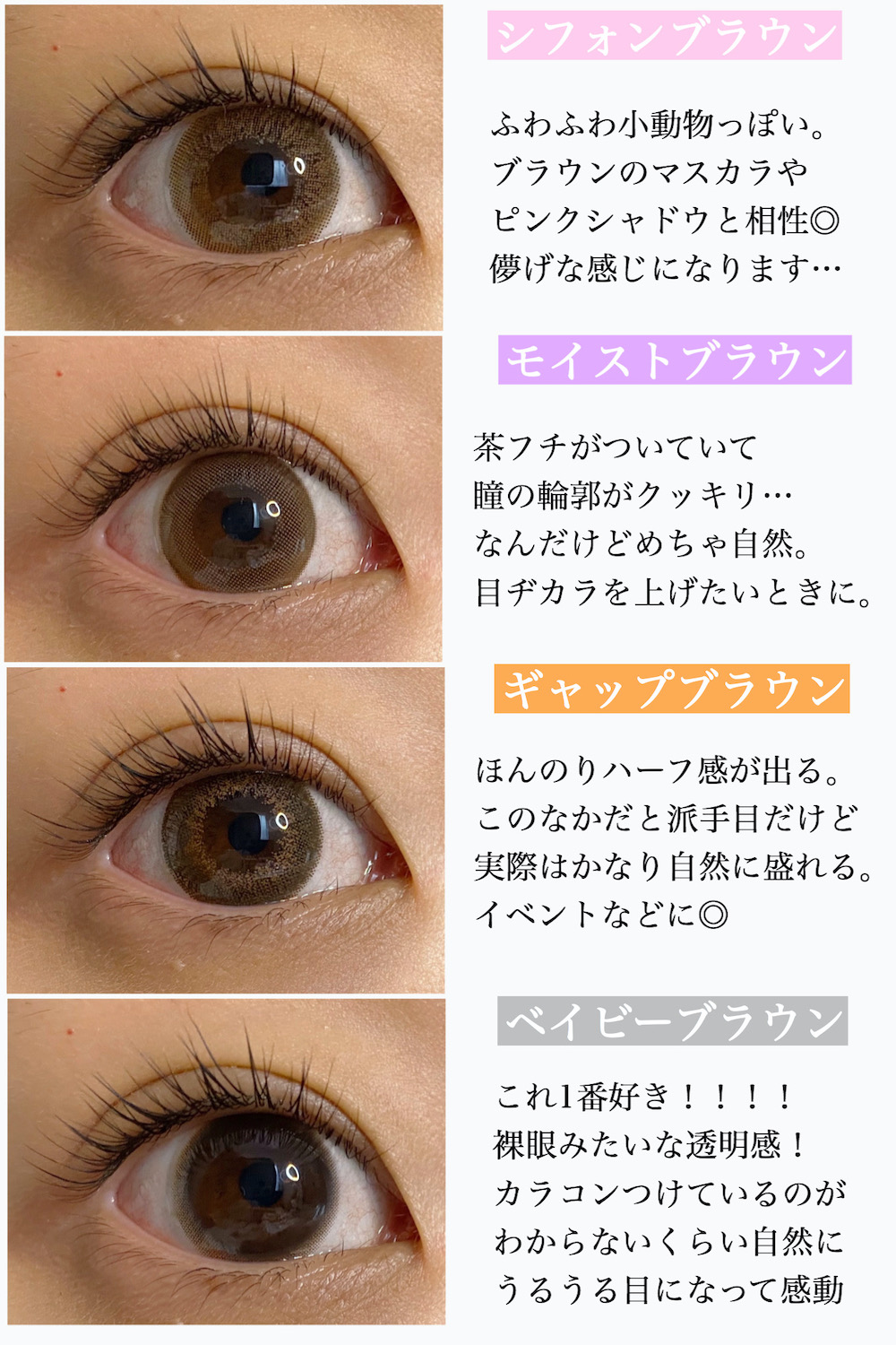 ベイビーブラウン レポ チューズミー