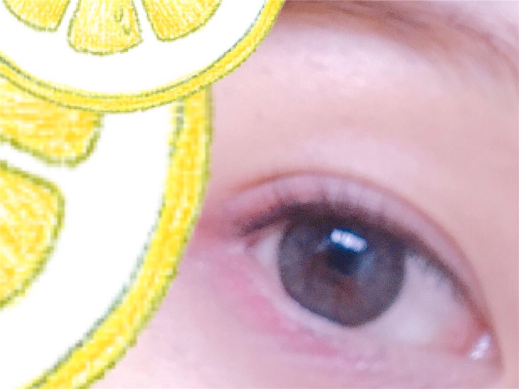 f:id:nadsukimikadsuki220:20170412020027j:image